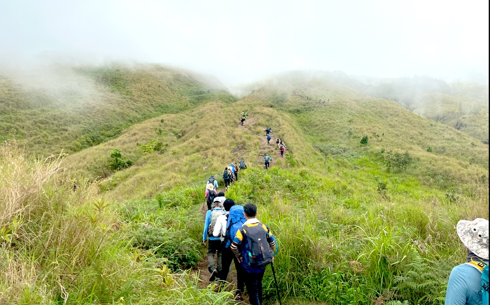 Rumput Savanna Jalur Sembalun