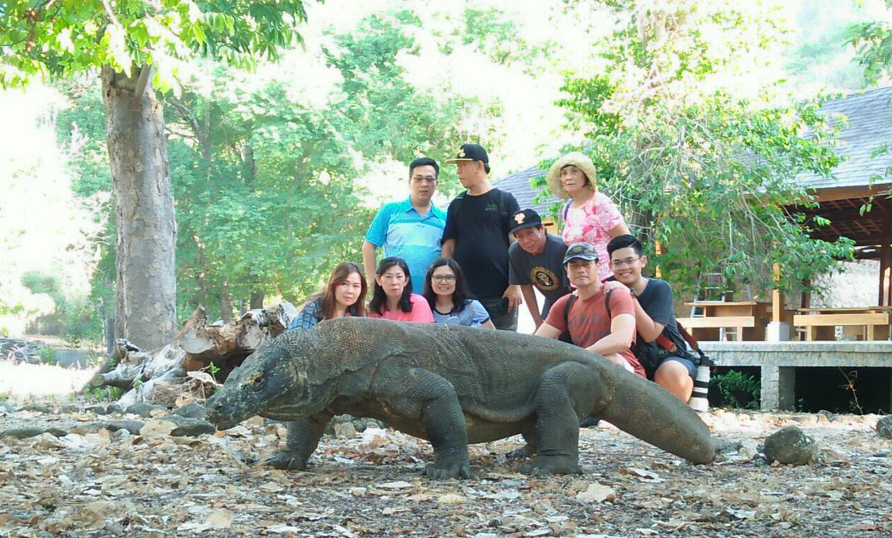Komodo Island - 3 days Komodo Tour