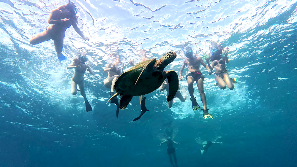 Snorkeling Tour Gili Trawangan