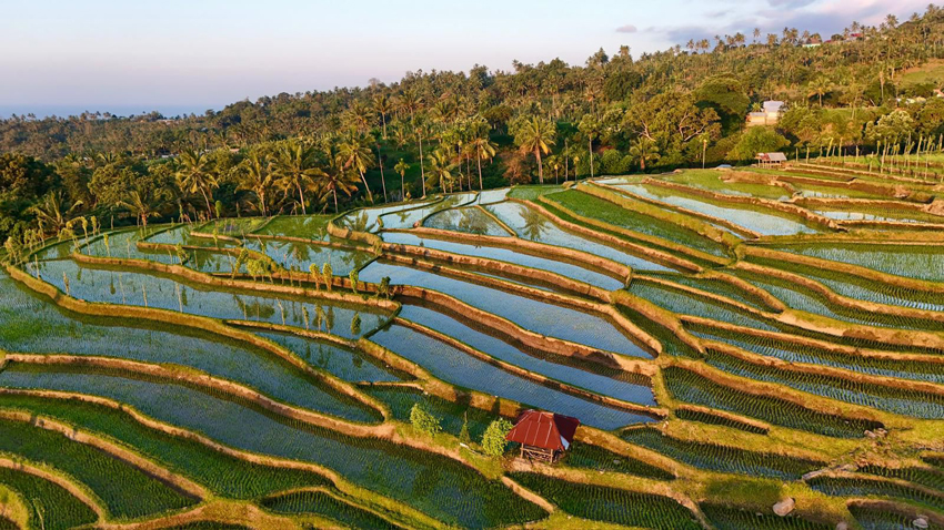Senaru Panorama Walk 