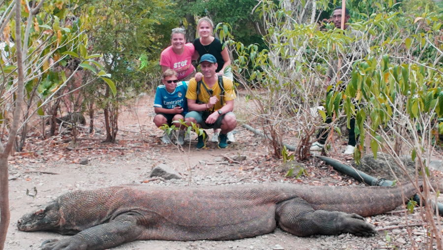 Covered with Ranger to See Komodo Dragon